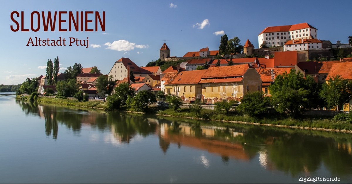 Burg Und Altstadt Ptuj Slowenien Fotos Reisetipps