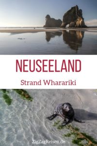 Strand Wharariki beach Neuseeland reisen pin