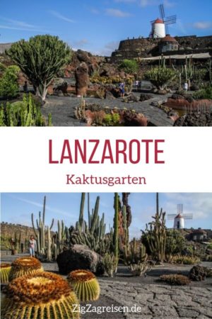 Kaktusgarten Lanzarote Reisen Pin2