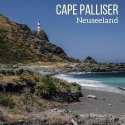 Leuchtturm Cape Palliser Neuseeland reisefuhrer