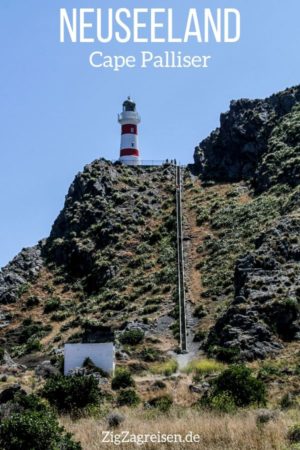 Leuchtturm Cape Palliser Neuseeland reisen
