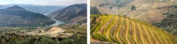 Eine Woche in PORTUGAL Reiseverlauf - PORTO & NORDEN tag 6 7 Douro valley