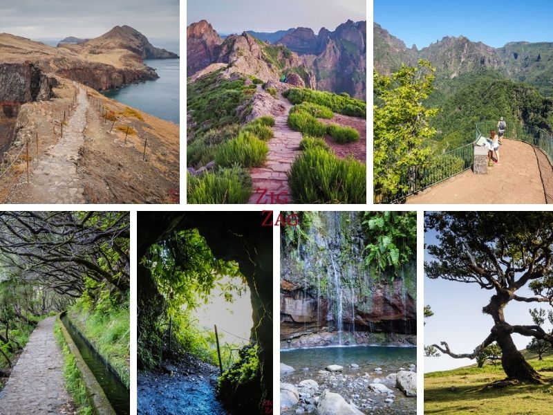 Schonste Madeira Wanderungen