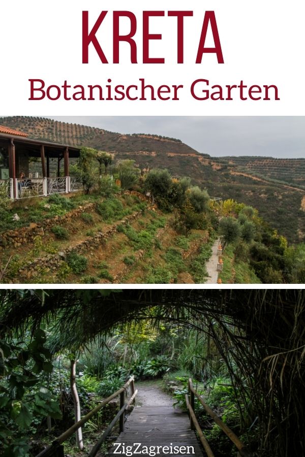 Botanischer Garten Kreta Chania Pin