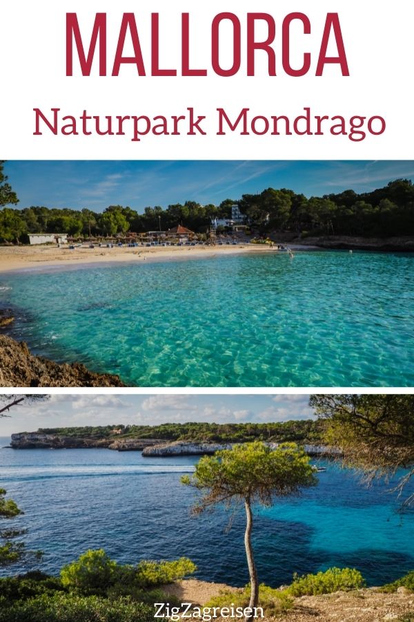Naturpark Mondrago Mallorca Pin