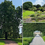 besuchen garten royal botanic garden edinburgh