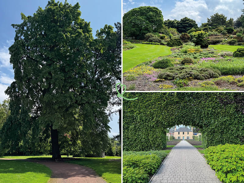 besuchen garten royal botanic garden edinburgh